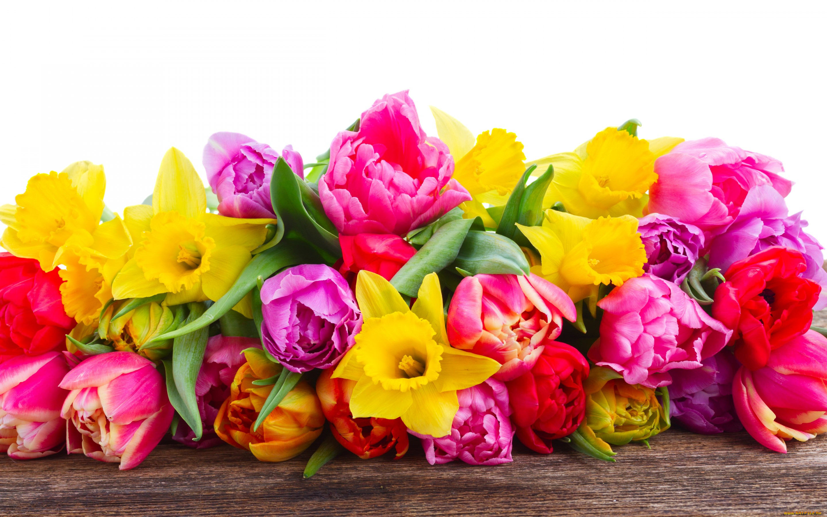 ,  , , colorful, bouquet, flowers, tulips